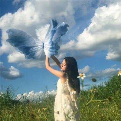 顾医生你老婆又去杀猪啦